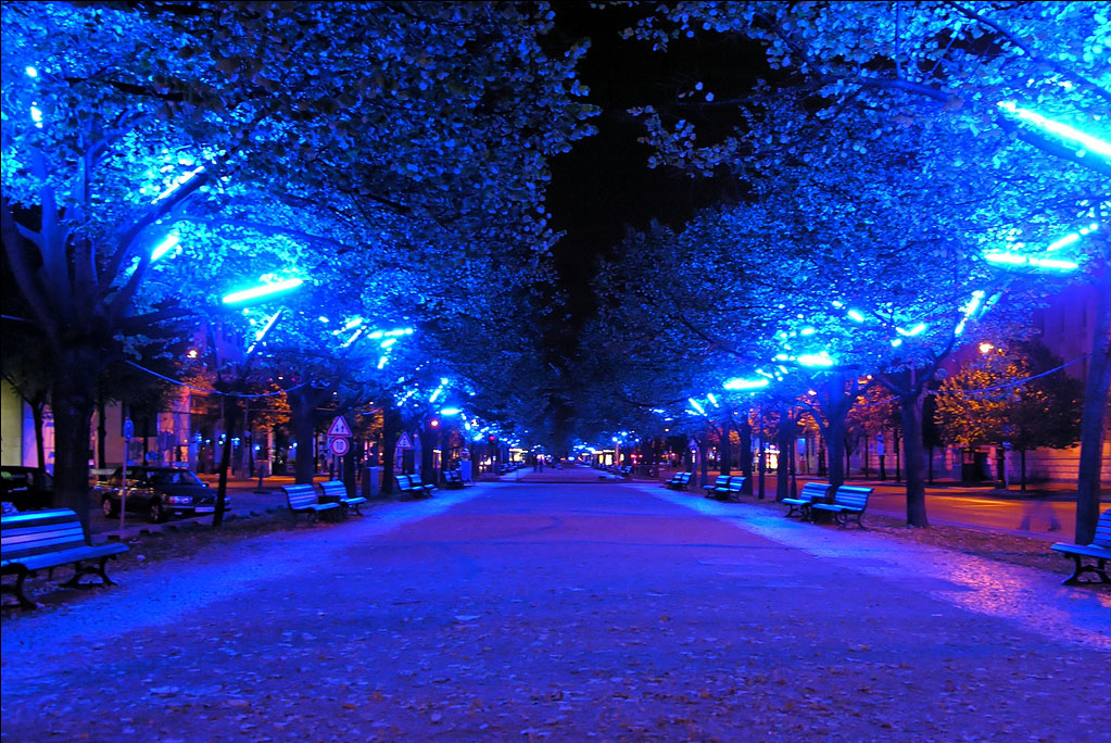 Avenue Unter den Linden illuminée